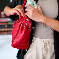 ShopliftingTheft2 ShopliftingTheft2