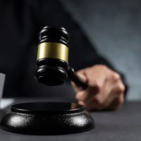 _Judge _Judge